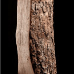 Trockenes Eschen-Kaminholz – 8-kg-Säcke – hohe Heizleistung