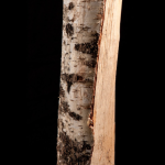 Trockenes Birken-Kaminholz 25 cm – 15 Säcke mit je 8 kg